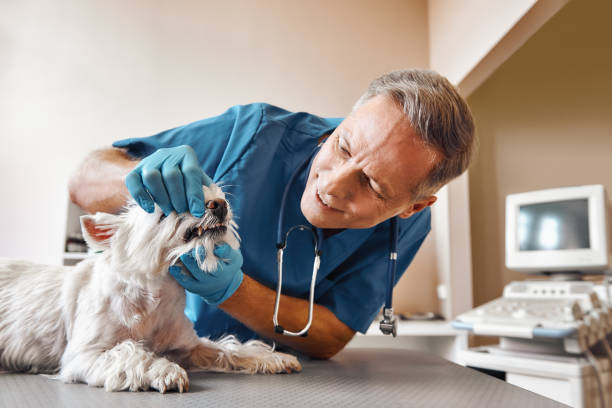 Best Weekend Emergency Dental Services in Marianna, FL